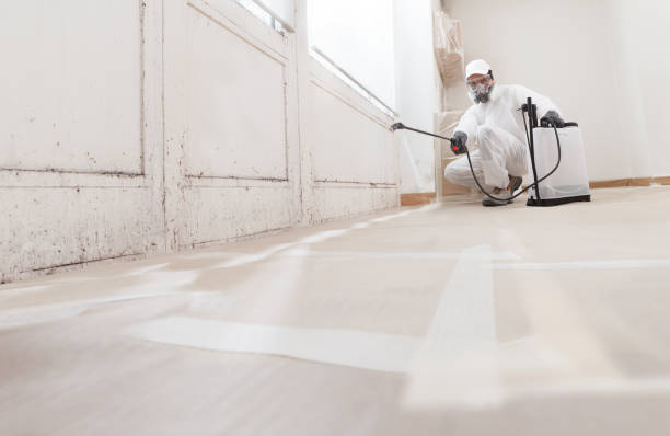 24/7 Emergency Attic Mold Remediation experts in Lynn Haven, FL